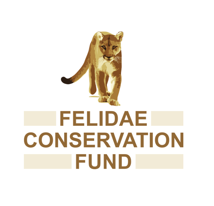 Felidae Conservation Fund