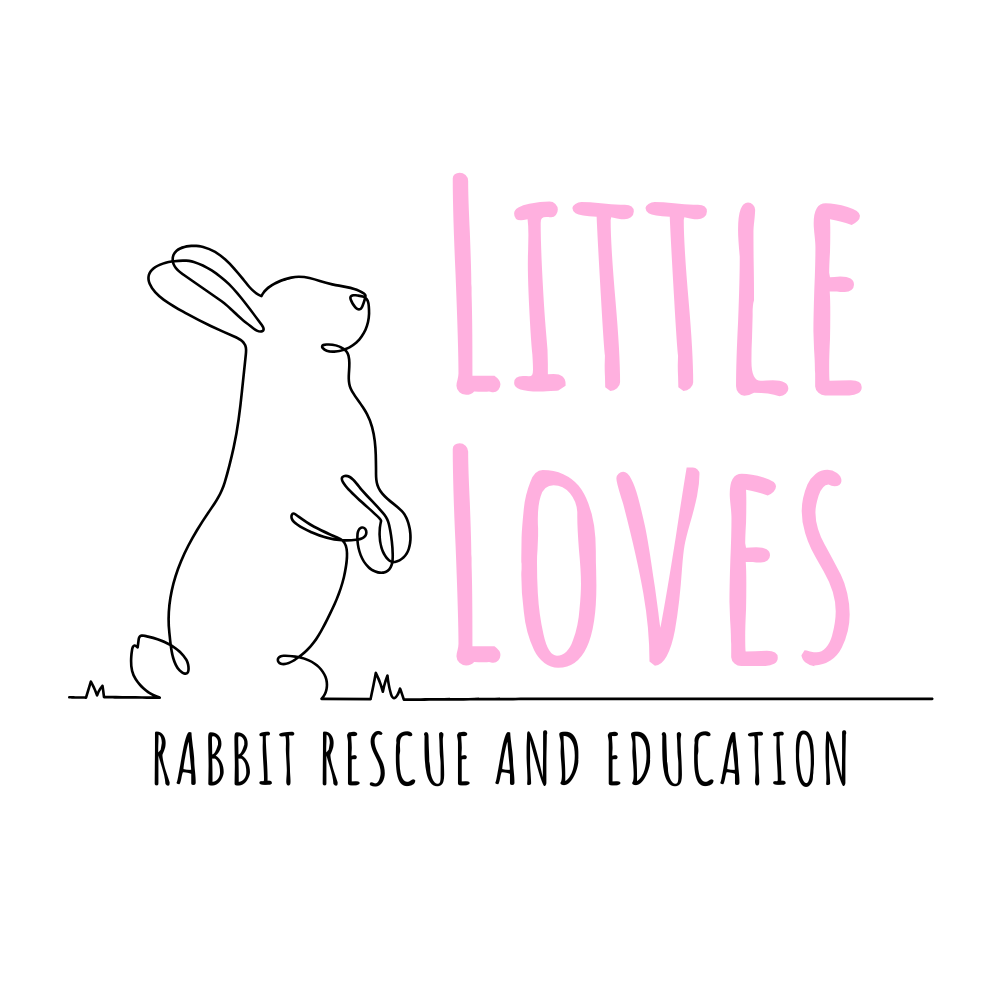 Little Loves Rabbit Rescue and Education