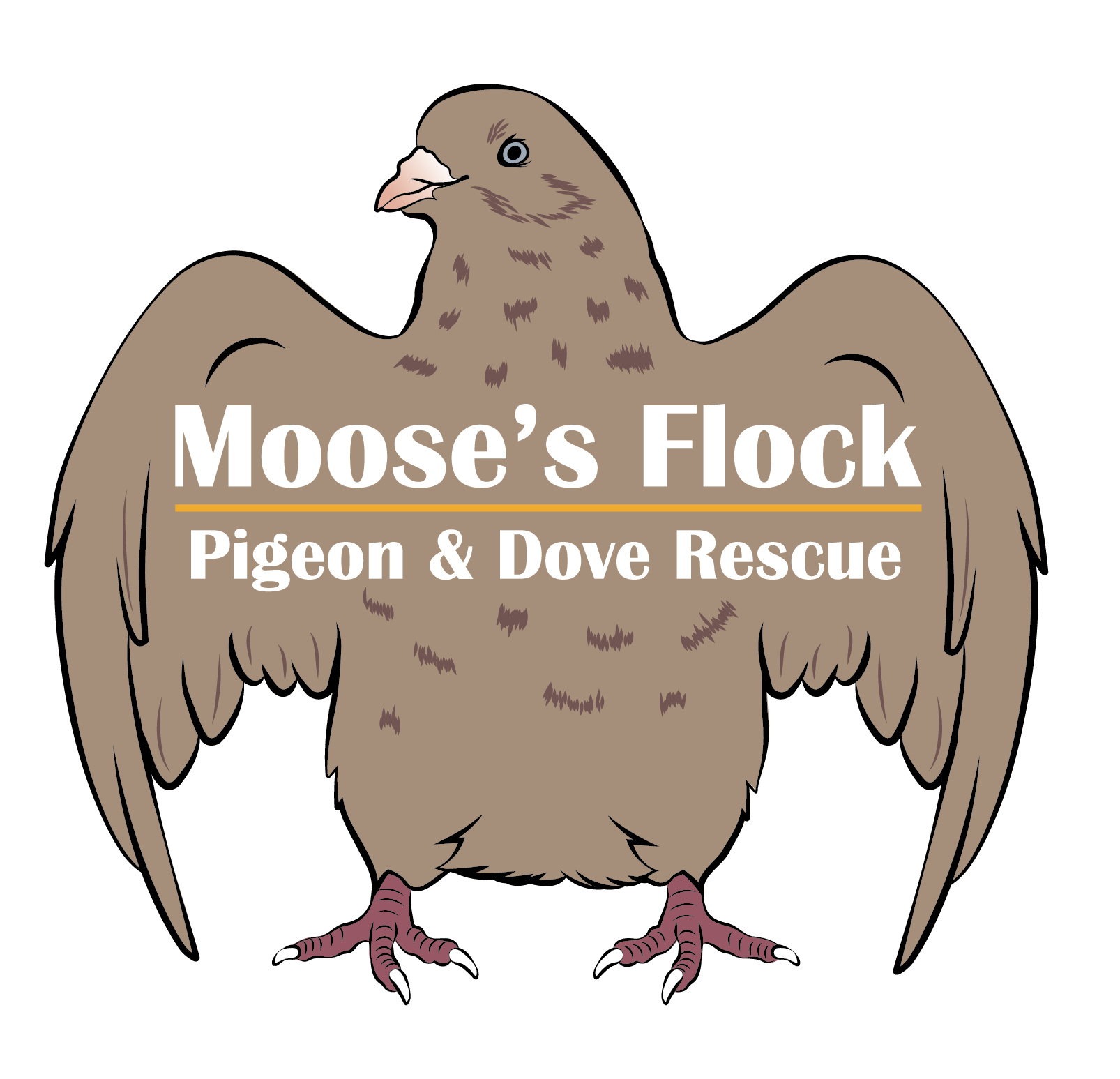 Mooses Flock Pigeon & Dove Rescue