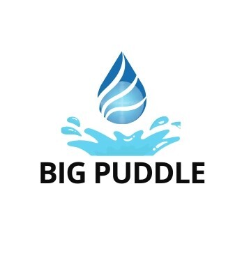 The Big Puddle