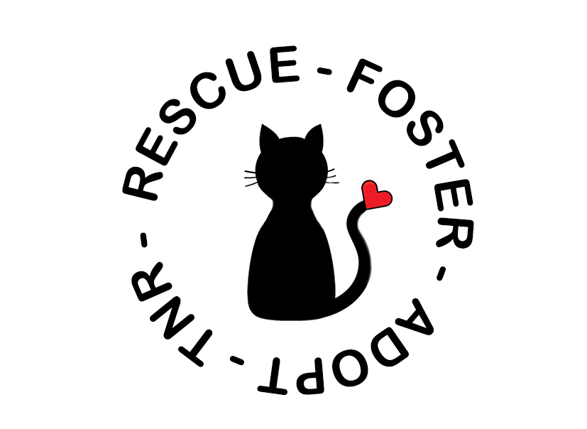 Kitten Rescue 101