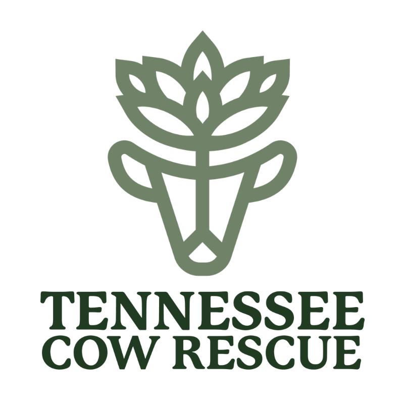 Tennessee Cow Rescue