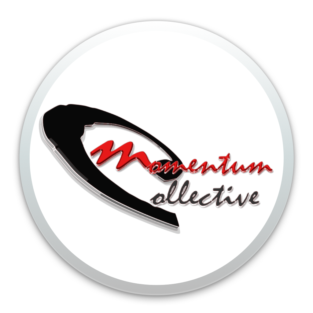 MOMENTUM COLLECTIVE INC