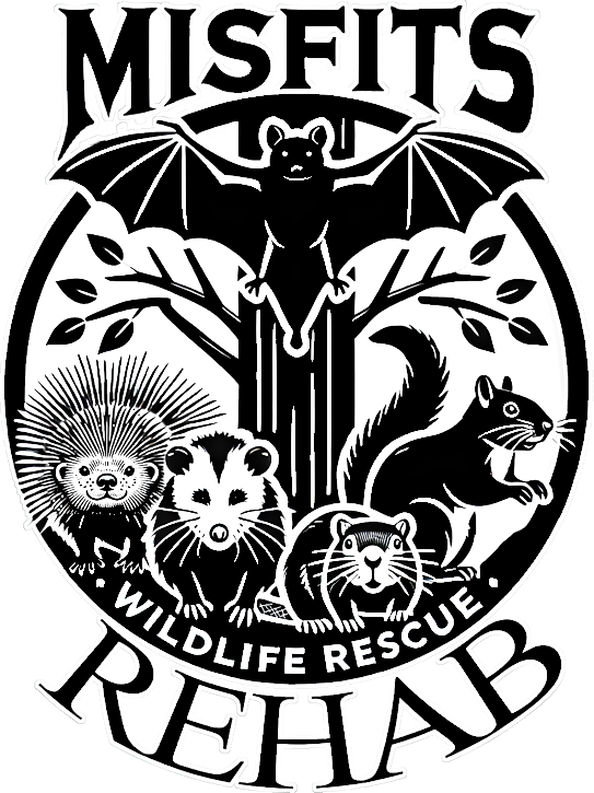 Misfits Rehab