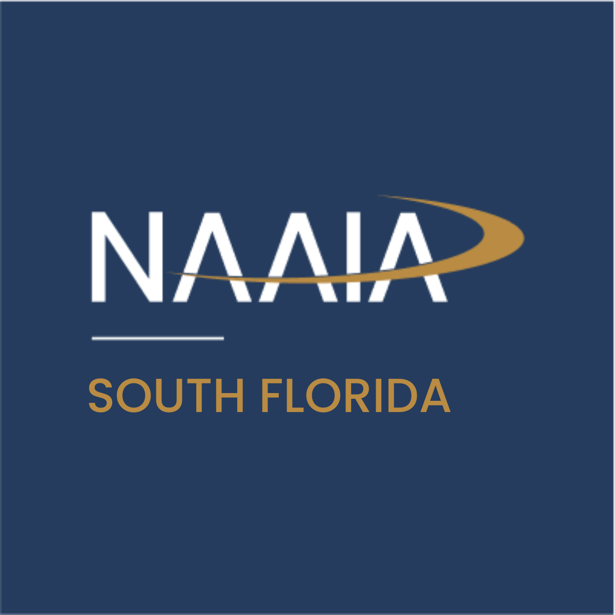 NAAIA South Florida