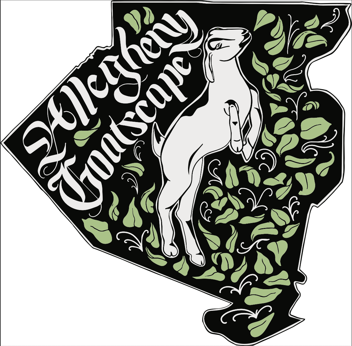 Design #3