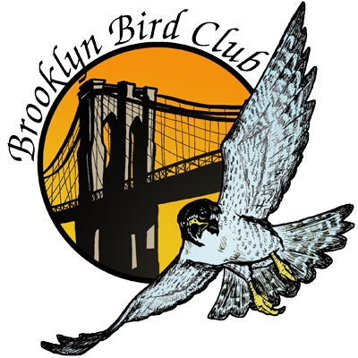 Timberdoodlers logo