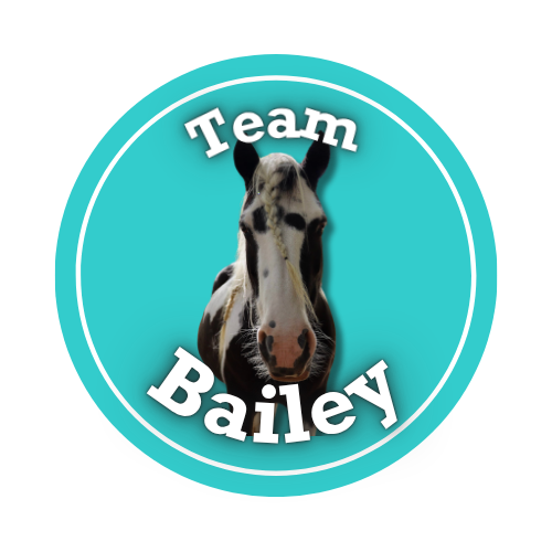 Team Bailey logo