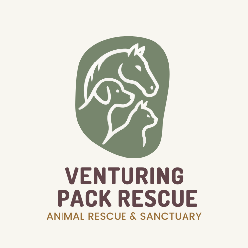 Venturing Pack Rescue