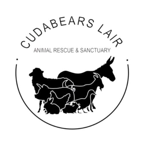 Cudabears Lair Animal Rescue & Sanctuary Inc