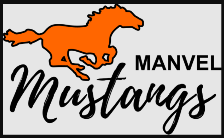 Manvel Public School