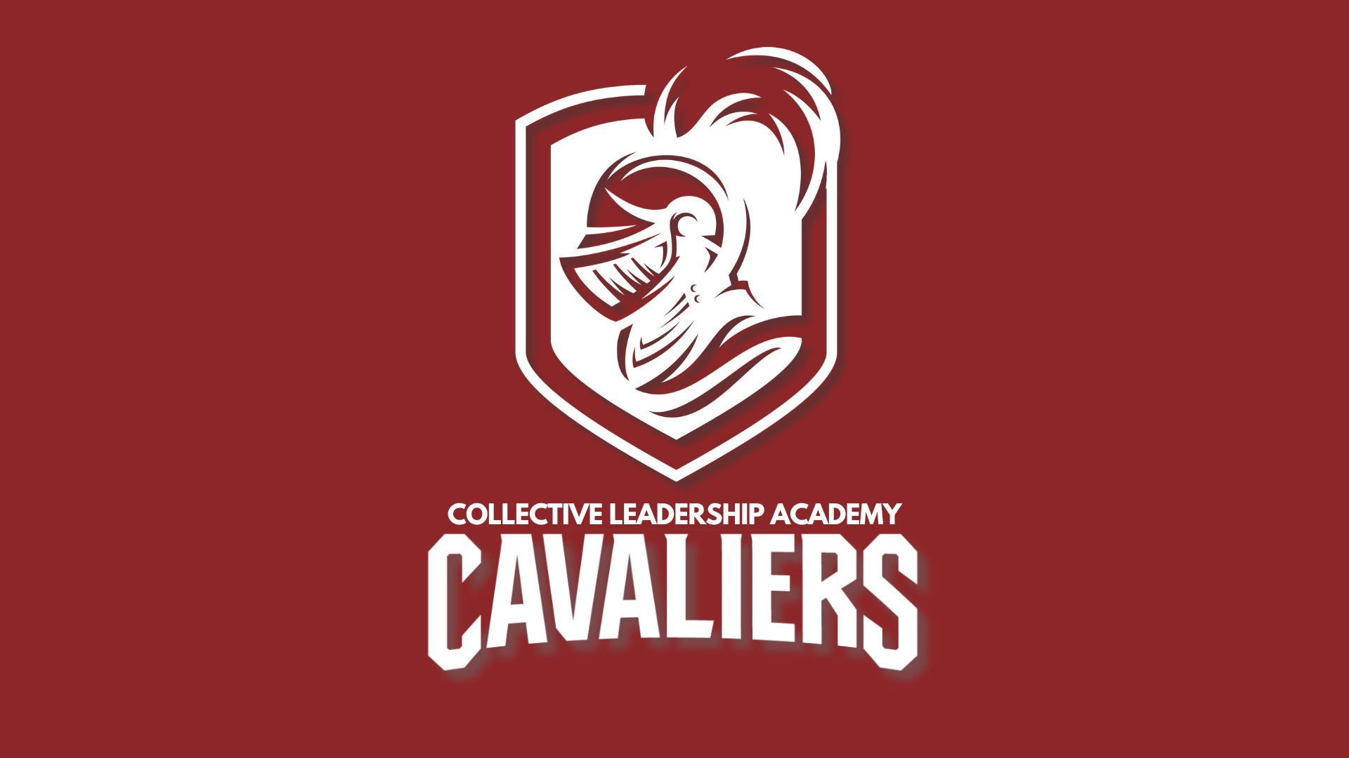 Collective Leadership Academy
