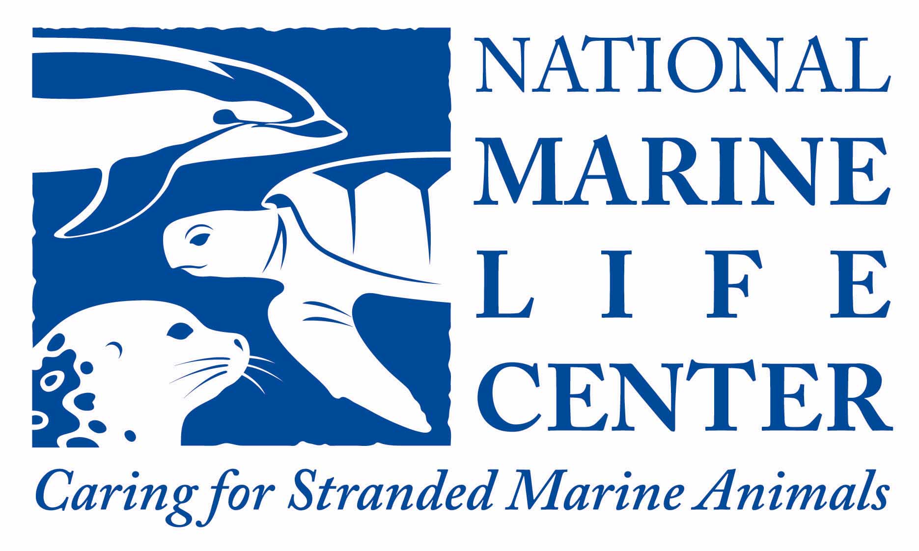 National Marine Life Center, Inc.