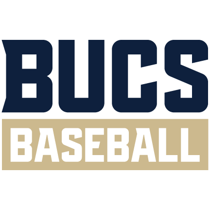 Baseball logo