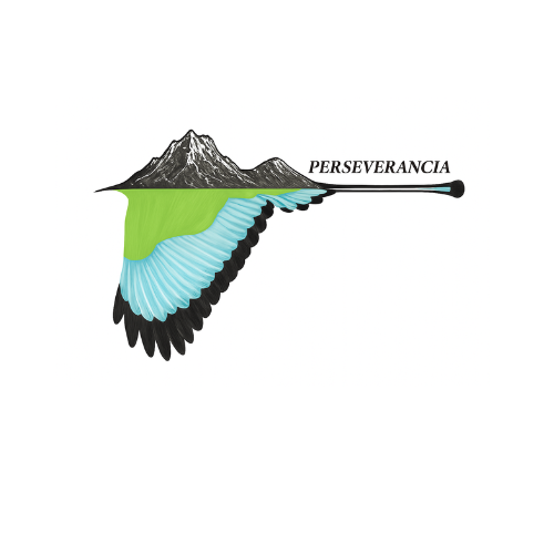 Cavalry SC logo