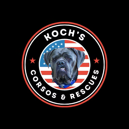 Koch’s Corsos & Rescues