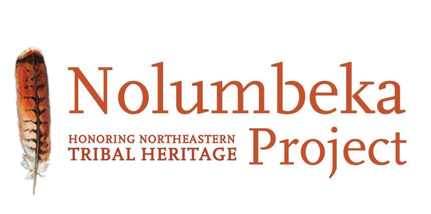 THE NOLUMBEKA PROJECT INC