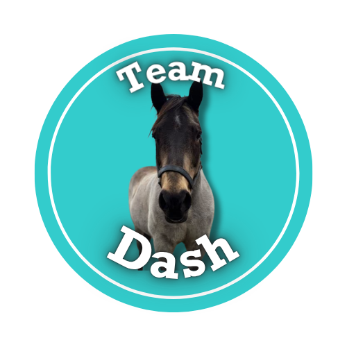 Team Dash logo
