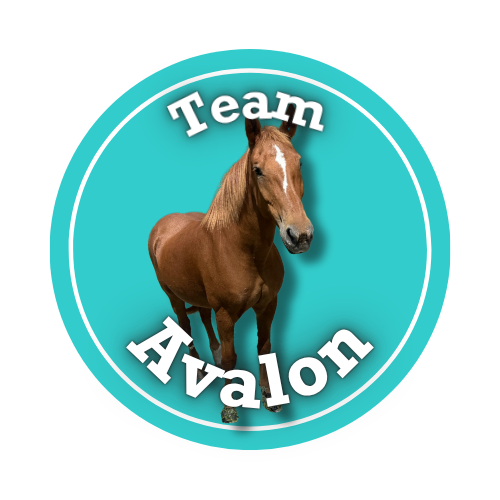 Team Avalon logo