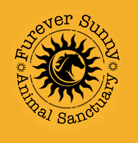 Furever Sunny
