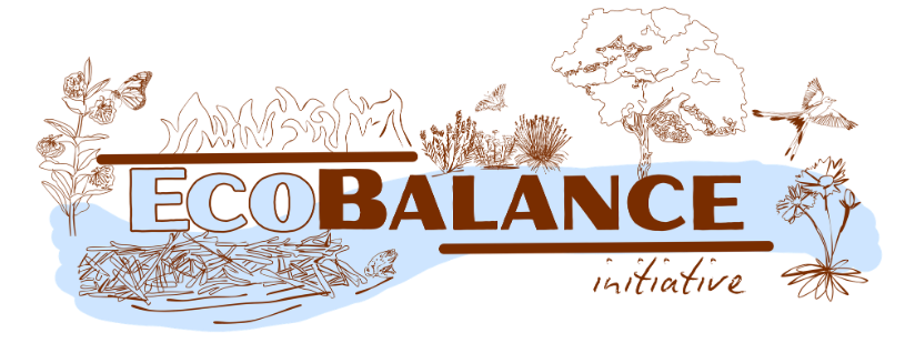EcoBalance