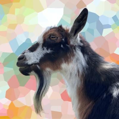 GOATS logo