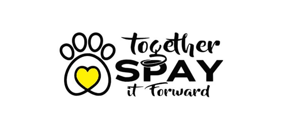 Together Spay It Forward Inc