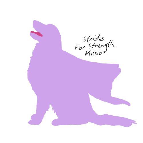 Strides for Strength Mission