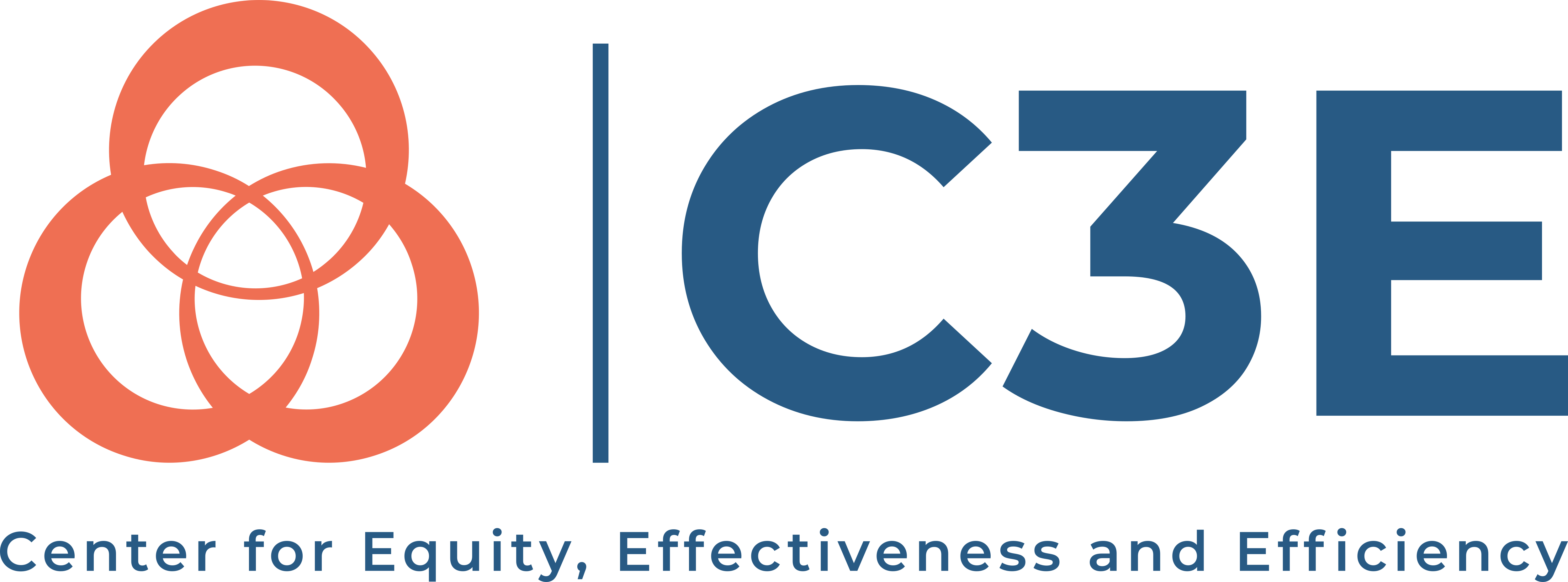 Center for Equity Effectiveness and Efficiency in Local Government