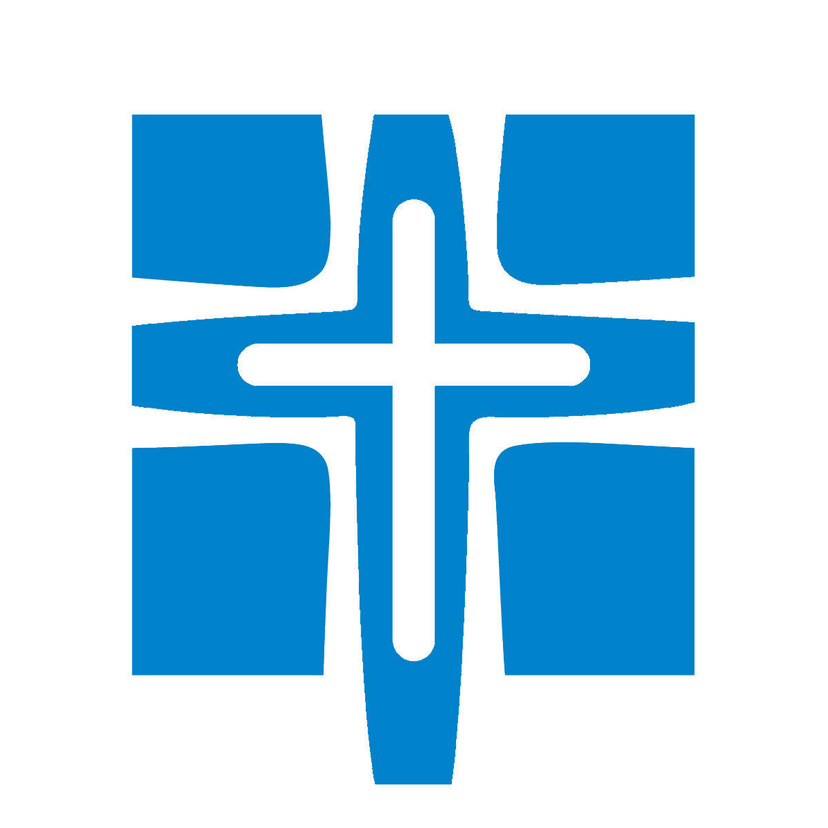 CATHERINE MCAULEY MERCY FOUNDATION INC