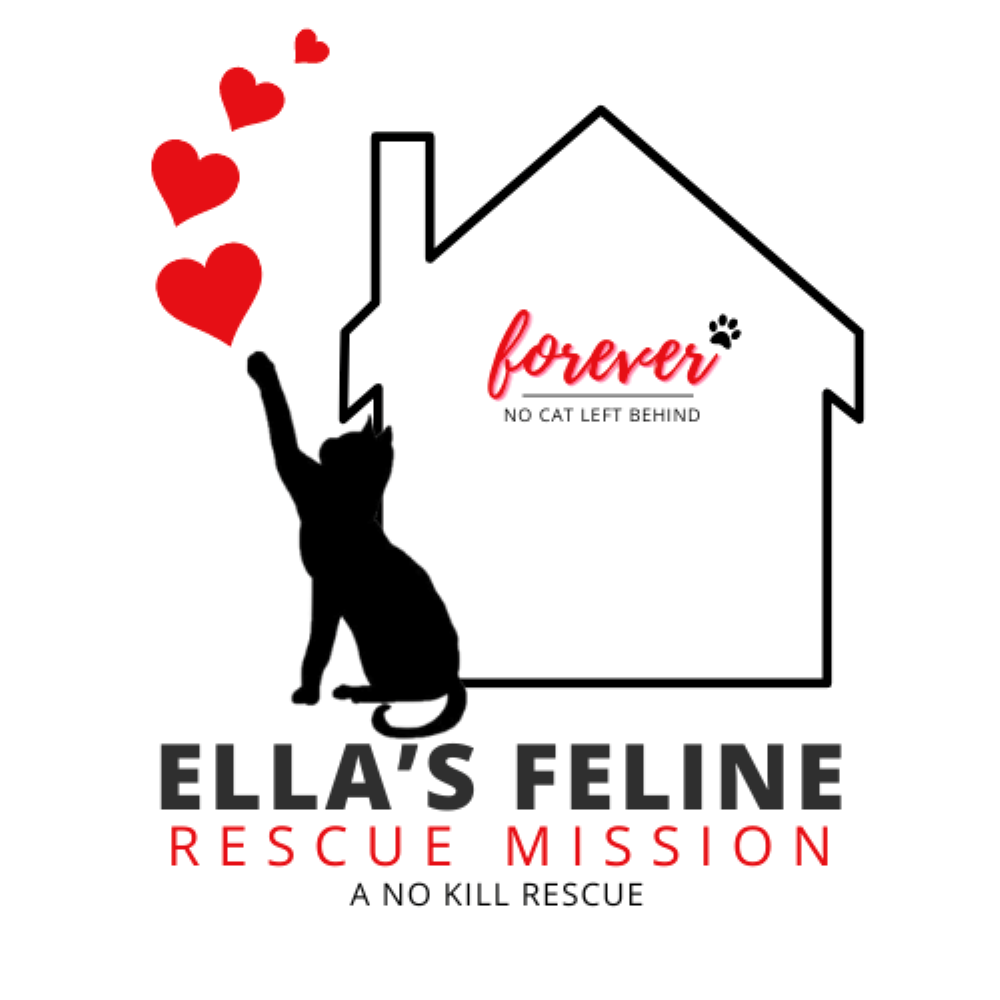 Ellas Feline Rescue Mission