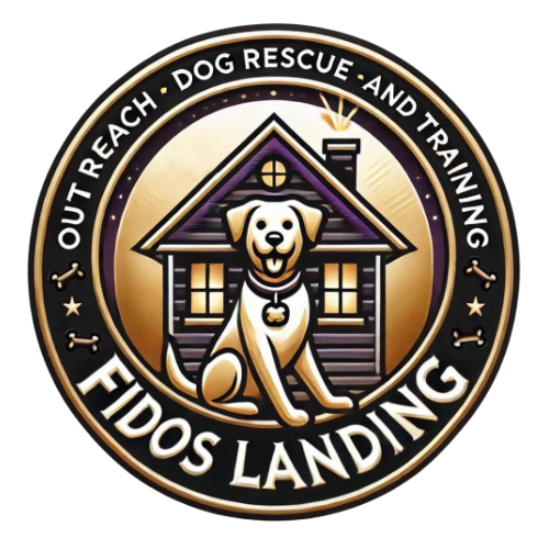 Fido’s Landing INC (NFP)