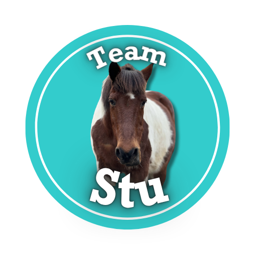 Team Stu logo