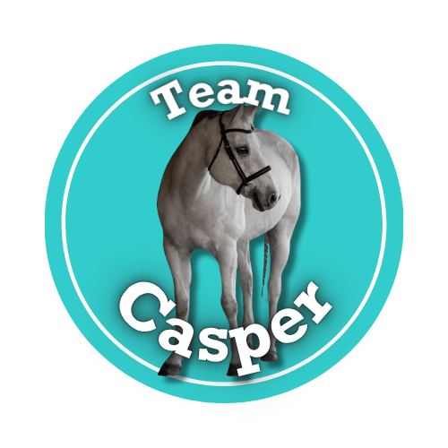 Team Casper logo