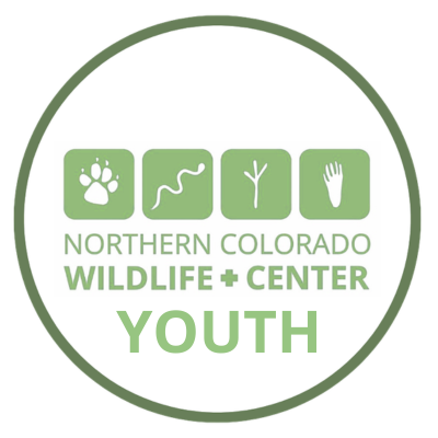 Youth Team logo