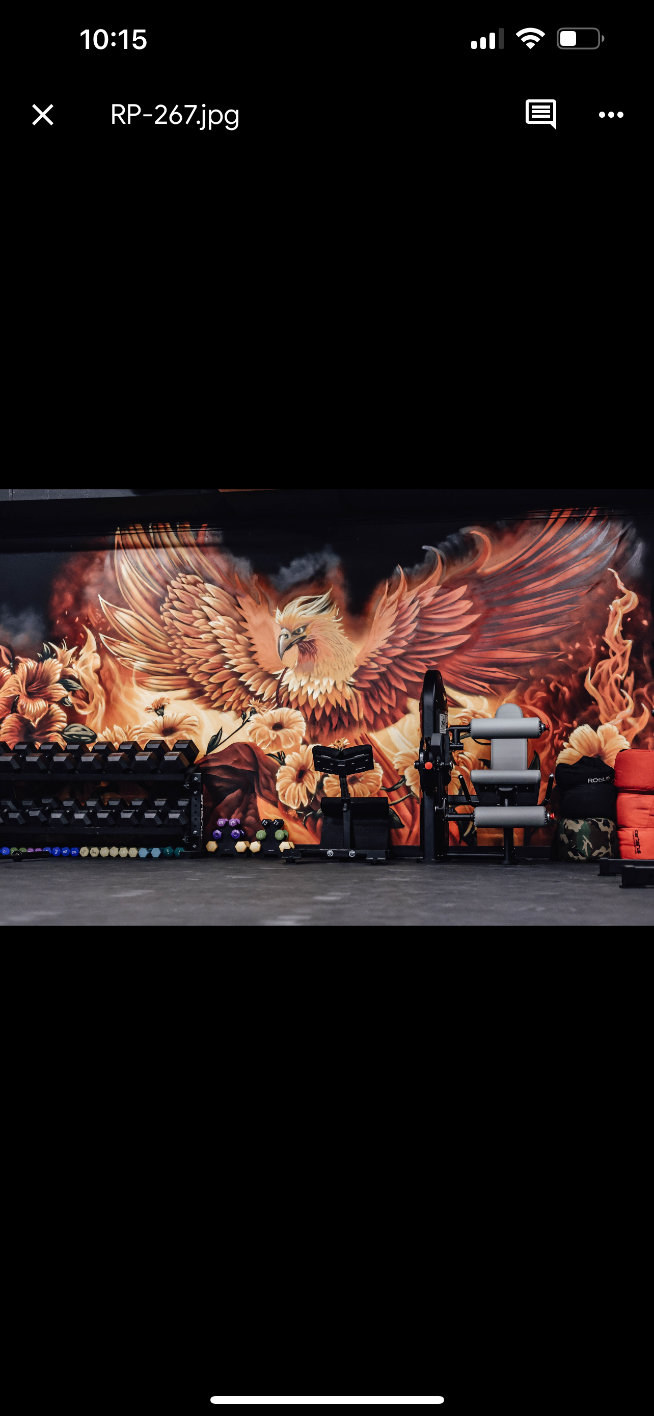 Rise Performance logo