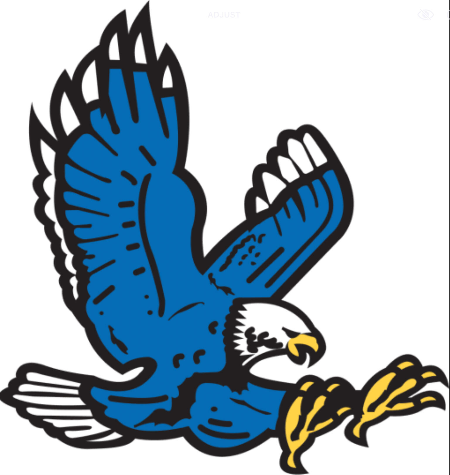 Auburn High School Eagle Pride PTSO