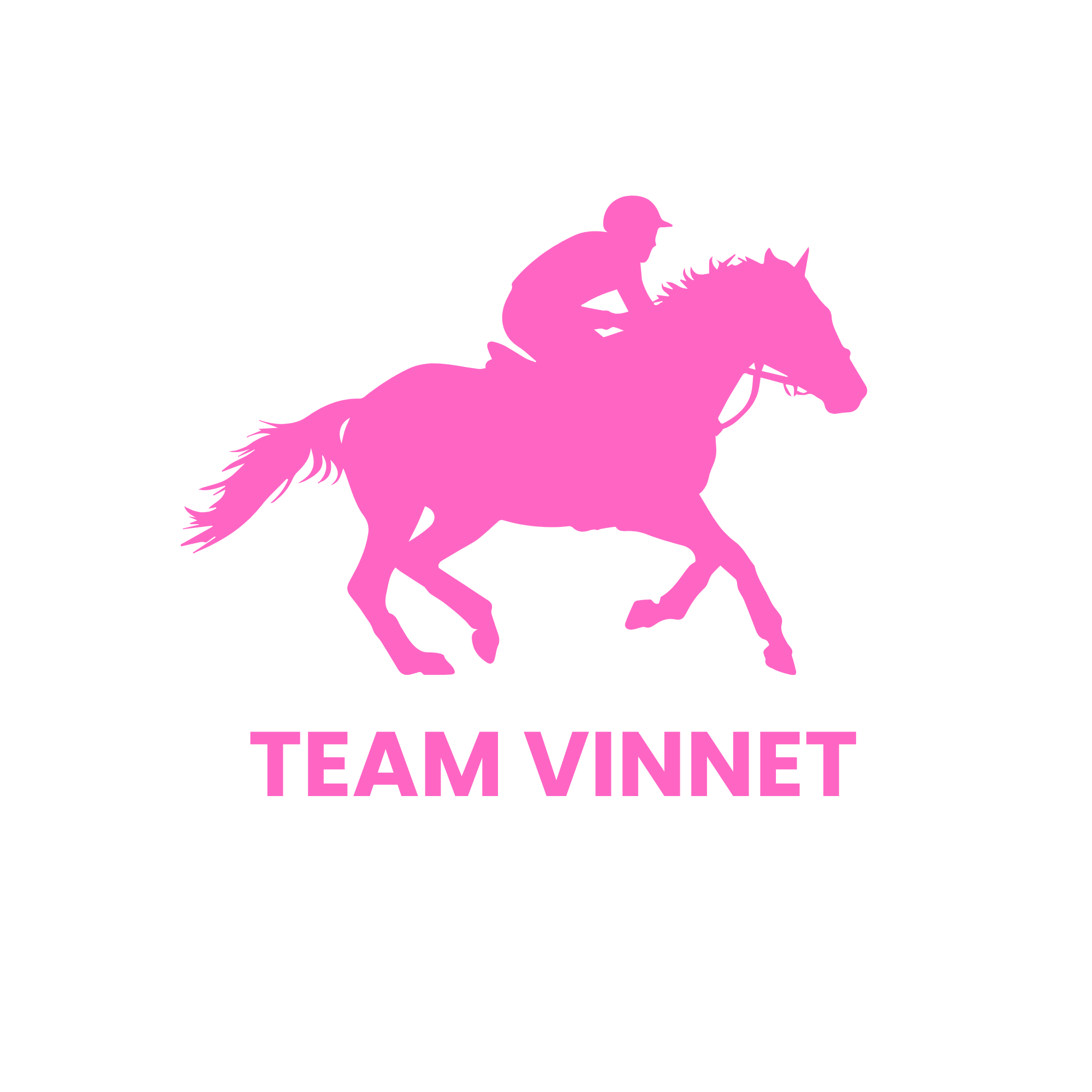 Team Vinett logo