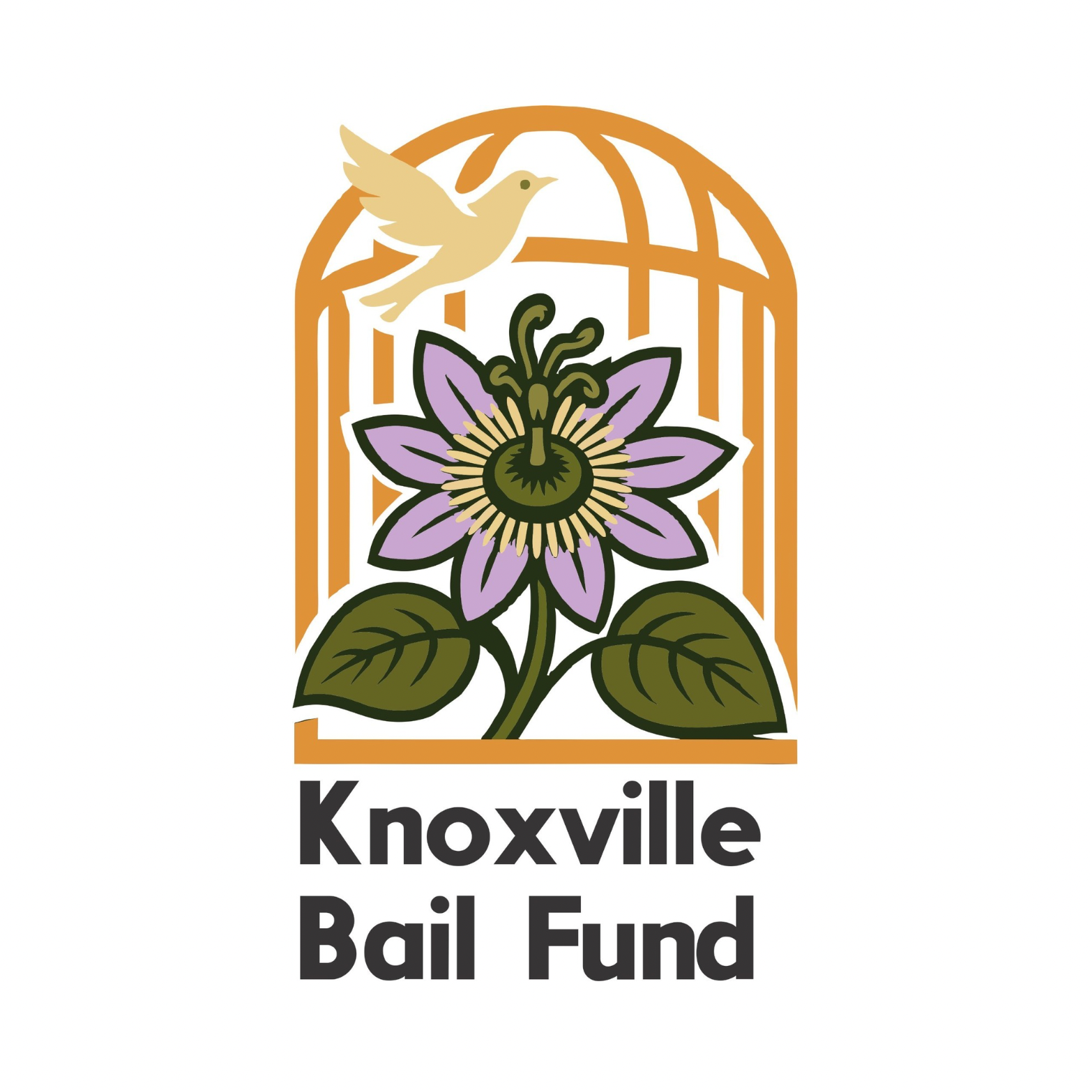 Knoxville Bail Fund