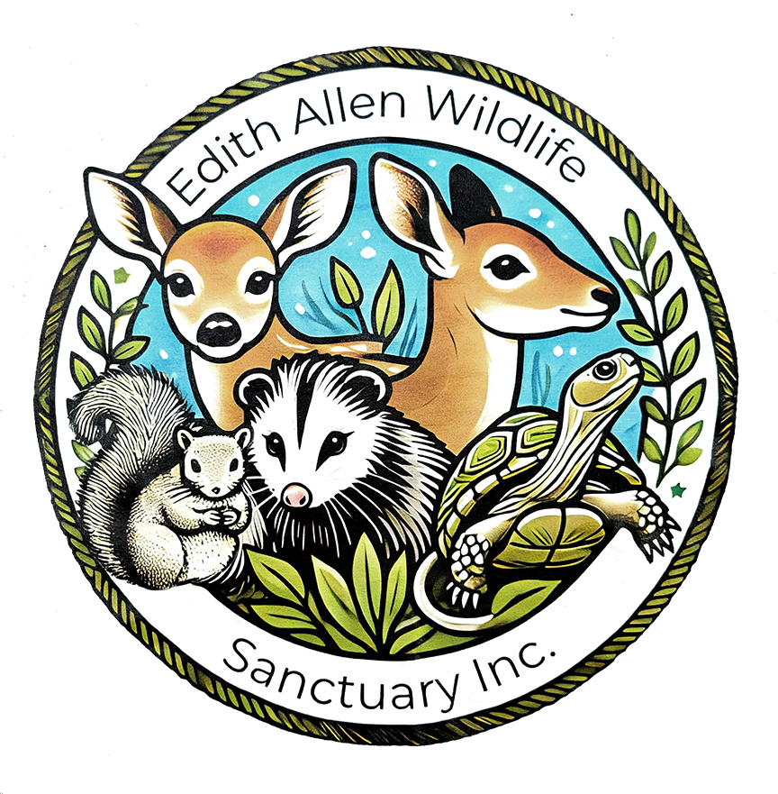 Edith Allen Wildlife Sanctuary