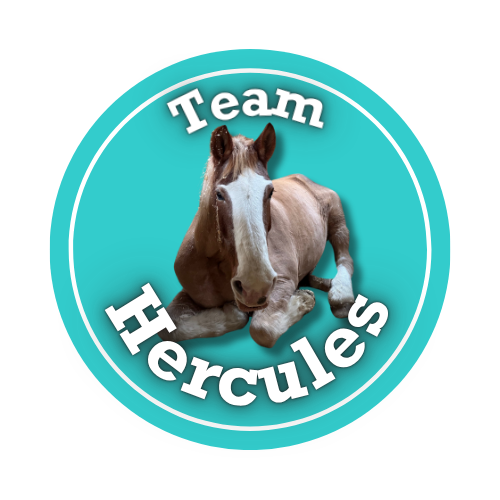 Team Hercules logo