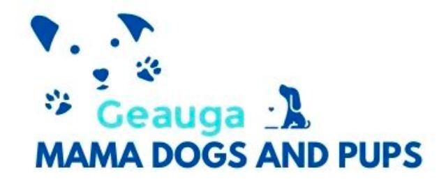 Geauga Mama Dogs and Pups