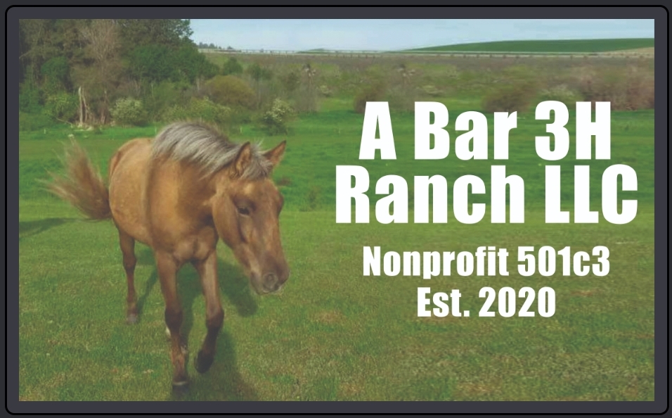 A Bar 3H Ranch LLC