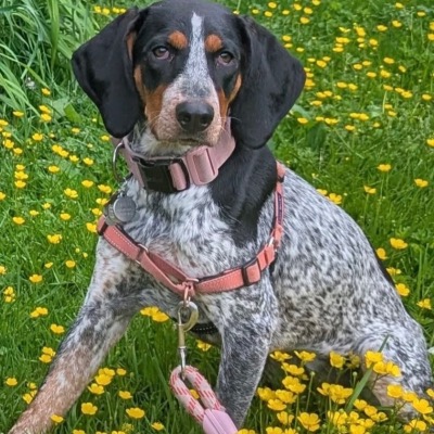 Buttercup MacMurphy