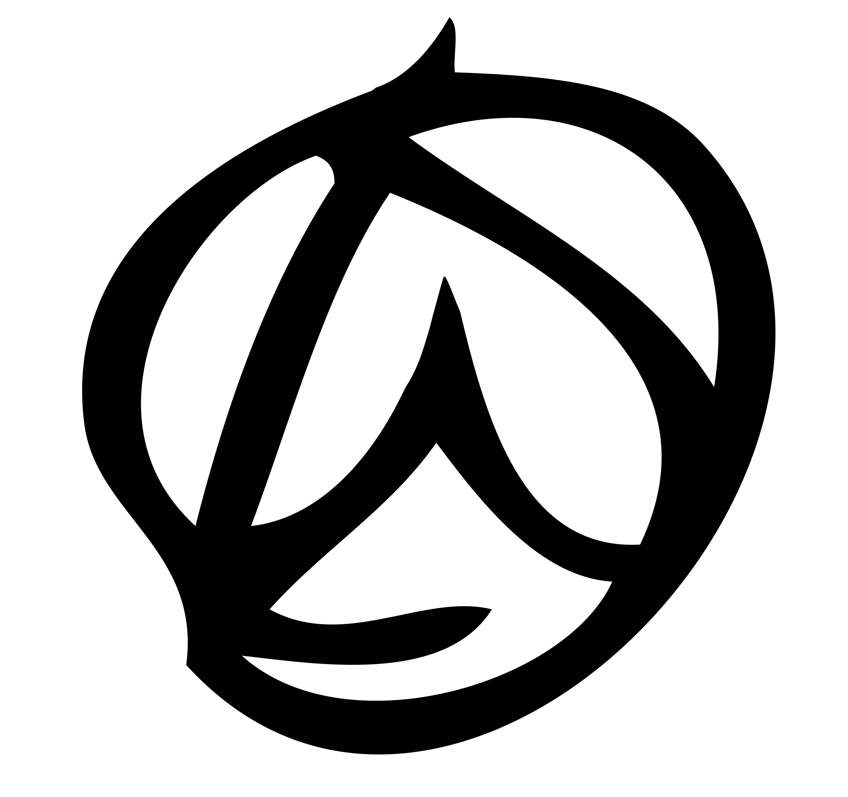 Love Your Rebellion Inc