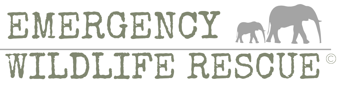 Emergency Wildlife Rescue