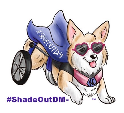 Shade Out DM Foundation Inc