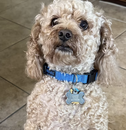 Cooper | Best Trick  The Dauth Family logo