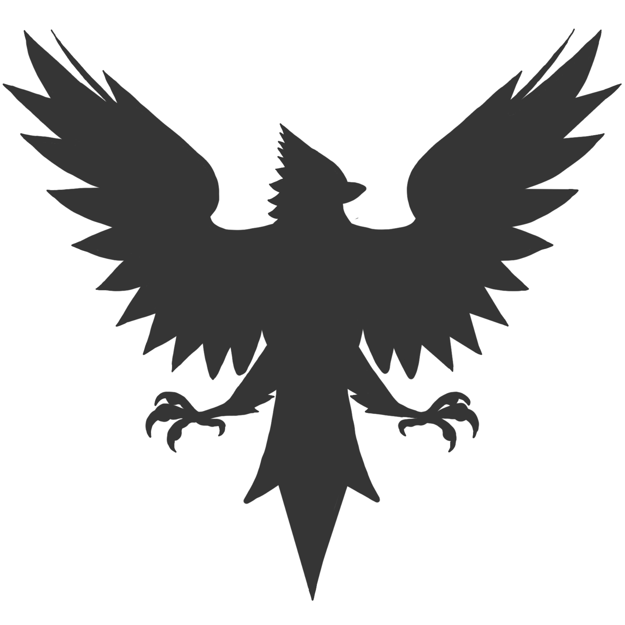 Non-Swim Team Members logo