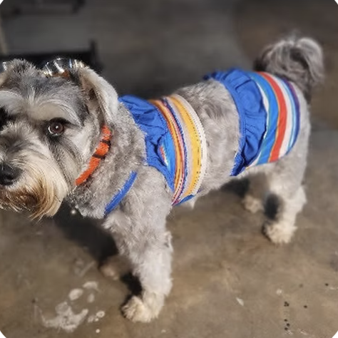 Abbie Lou | Wiggliest Tail | Nita Turrentine logo